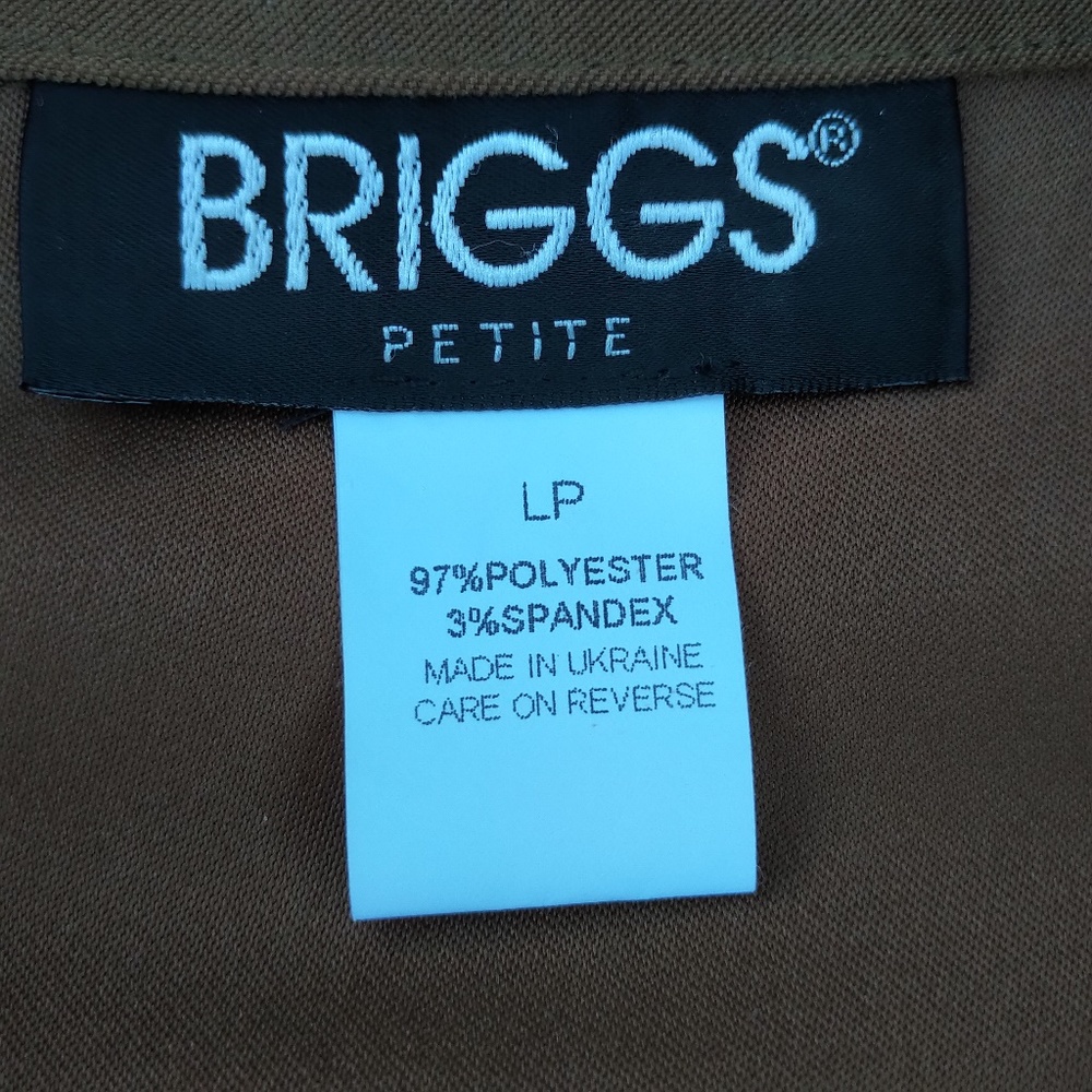 Blazer Briggs New York EUC LP - Picture 3 of 4